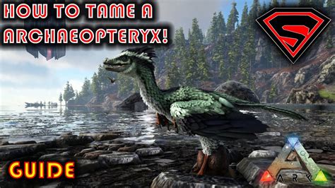 ARK HOW TO TAME A ARCHAEOPTERYX 2020 - EVERYTHING YOU NED TO KNOW ABOUT ...