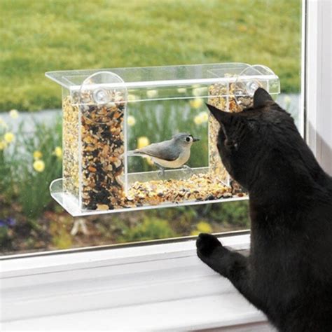 9 Best Window Bird Feeders in 2023, HGTV Top Picks | HGTV