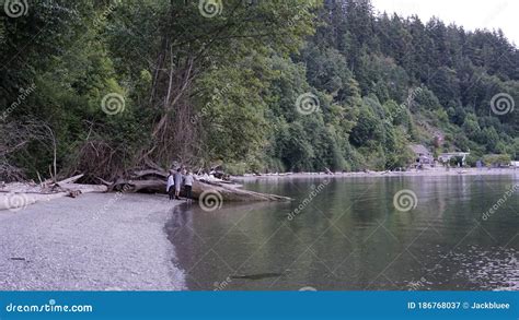 Kayak Point Park North Seattle Beach Editorial Photography - Image of boat, ocean: 186768037