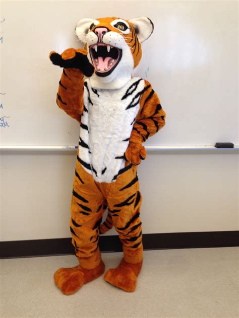 Top 10 most common high school mascots | USA TODAY High School Sports