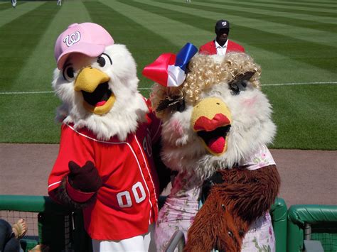 Nats mascot Screech and Momma Screech, at a Washington Nationals game ...