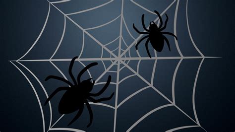 Halloween Spider Wallpapers - Top Free Halloween Spider Backgrounds - WallpaperAccess