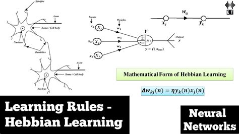 Learning Rules | Hebbian Learning | Basic Concepts | Neural Networks ...