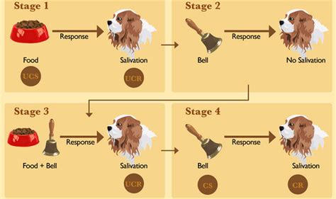 Pavlov Classical Conditioning - quotes to cheer someone up from a ...