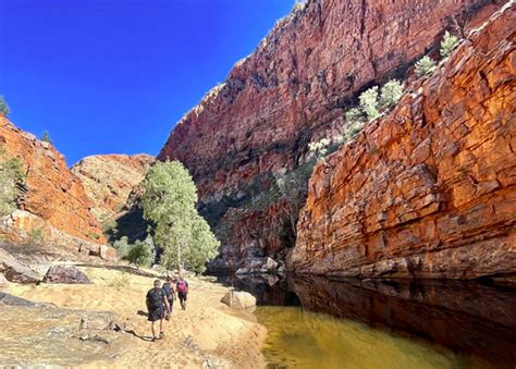 The Larapinta Trail – 6 Nights – 5 Day Walking Journey — Wild Spirit Adventures