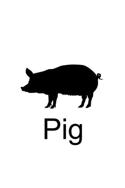 Farm Animals Pig Silhouette Classroom Learning Aids Barnyard Farming ...