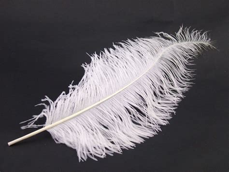 Beautiful Dyed Ostrich Feathers Pack of 100 pcs 8-10