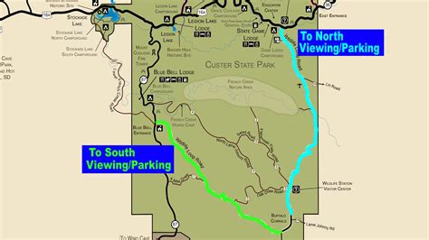 Buffalo Roundup in Custer State Park: What to Know (with MAPS!) — Class C Broads