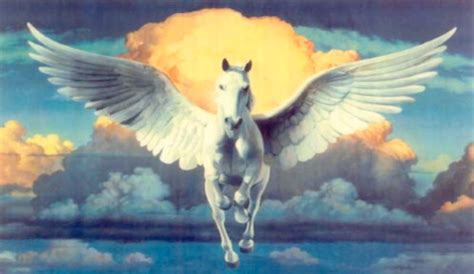 Traumafessions :: Reader Heather on the Tristar Pegasus