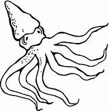 Octopus Printable Coloring Pages sketch template