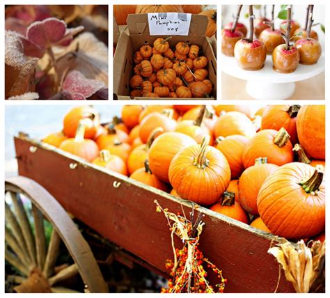 The Cottage Wren: Autumn Harvest~