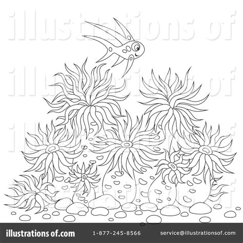 Sea Anemones Clipart #1093109 - Illustration by Alex Bannykh