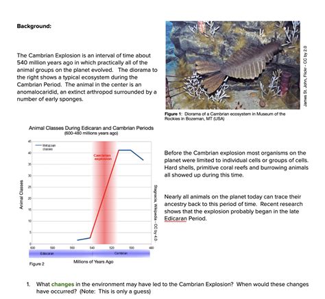 What Caused the Cambrian Explosion? — The Wonder of Science