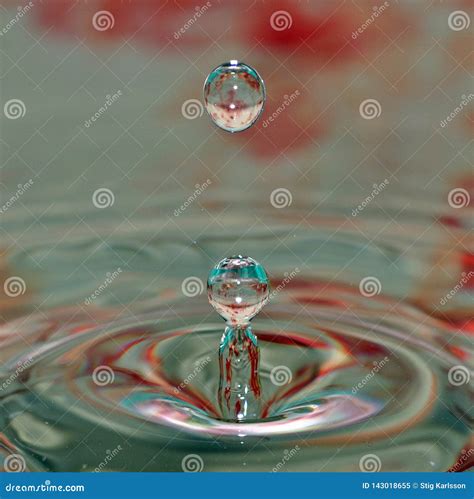 Macro shot of water drops. stock image. Image of backround - 143018655