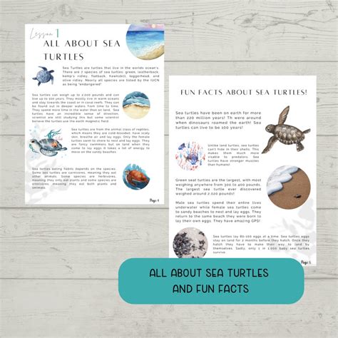 Sea Turtle Unit Study, Mini Sea Turtle Unit Study, Homeschool Science ...