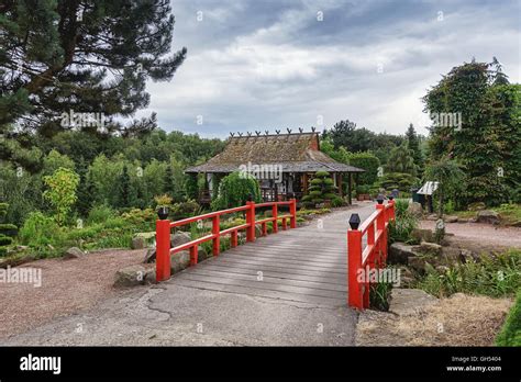 Japanese elements hi-res stock photography and images - Alamy