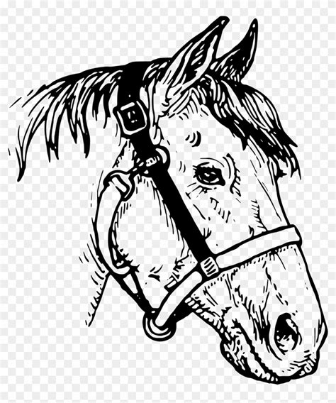 Horse Head Png Clipart - Horse Head Drawings Clip Art Transparent Png ...