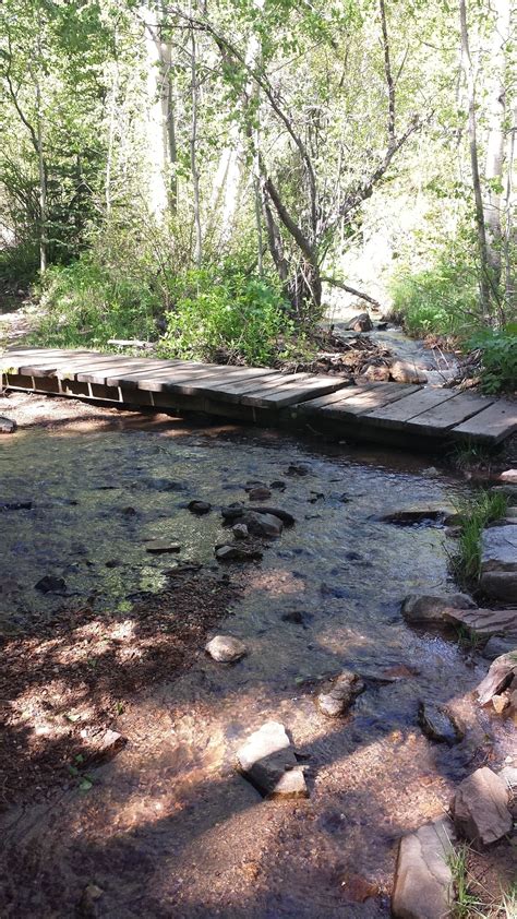 Burro Loop Trail - Colorado | AllTrails