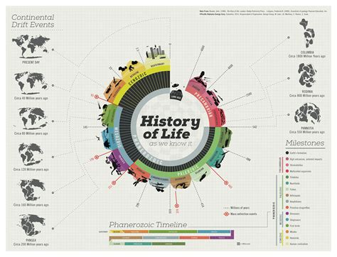 History of Life :: Behance