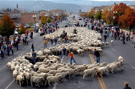 12 Unique Fall Festivals In Utah You Won't Find Anywhere Else - Only In Your State