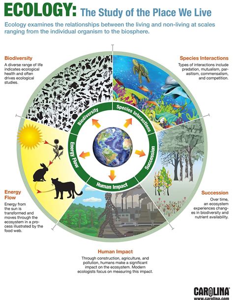 Infographic - Ecology: The Study of the Place We Live | Teaching ...