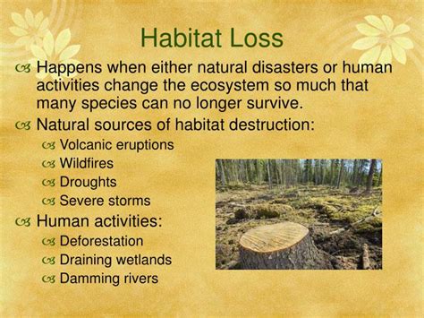 PPT - Threats to Biodiversity PowerPoint Presentation - ID:6666031