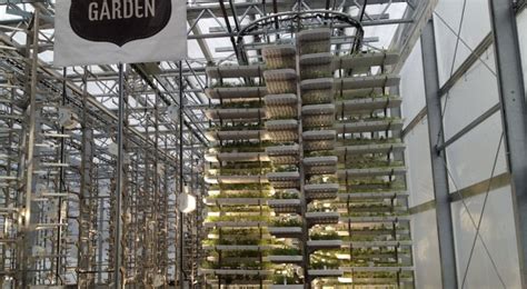 World’s Largest Indoor Vertical Farm Capable Of Producing Two Million Pounds of Food – Tautai ...