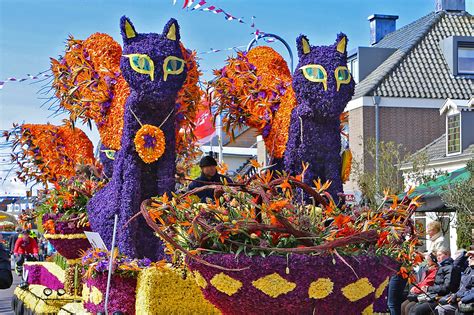 12 Best Festivals in the Netherlands - Unique Dutch Celebrations You Won’t Find Anywhere Else ...