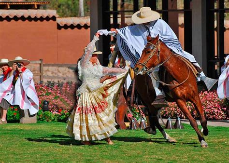 Peruvian Paso Horse