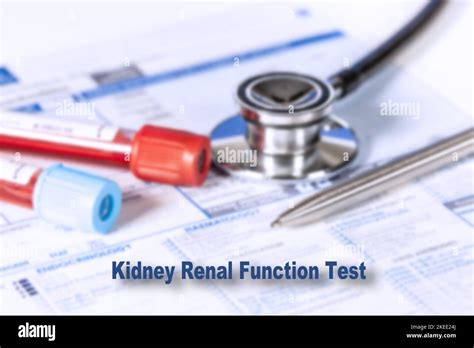 Kidney function test, conceptual image Stock Photo - Alamy