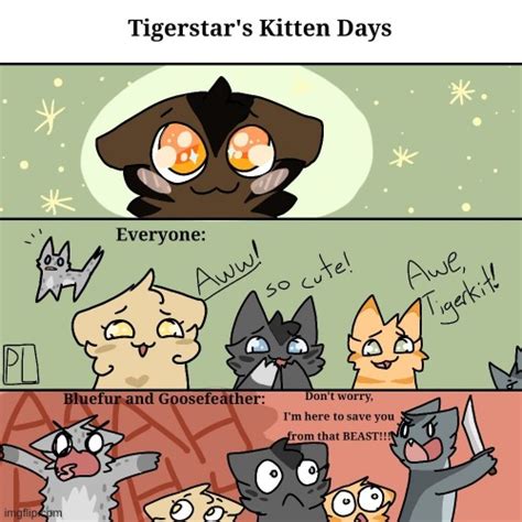 Tigerkit days - Imgflip