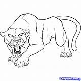 Image Result For Female Black panther drawing  sketch template