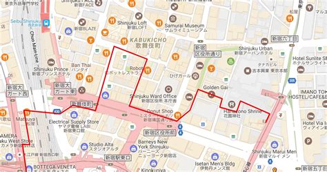 Shinjuku Walking Tour: skyscrapers, old-time alleyways, and Kabukicho red light district ...