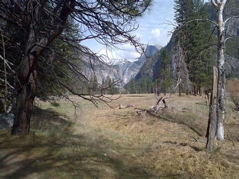 Yosemite Valley Loop Trail (Yosemite National Park) - 2020 All You Need to Know Before You Go ...