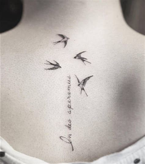 Four swallows together with the latin phrase “in deo speramus” (“In god ...