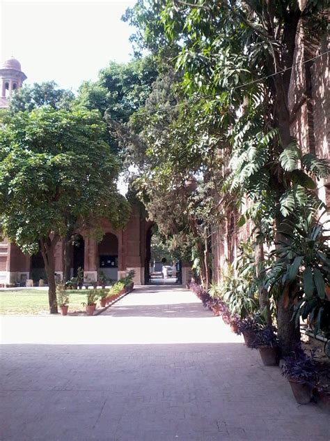 Shiraz Hassan: Lahore: National College of Arts