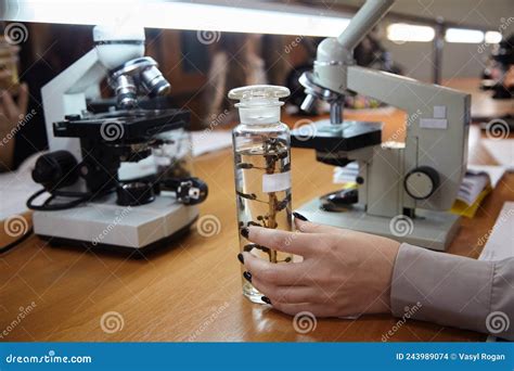 Student with Microscope in Laboratory. Biology Lab Stock Photo - Image of nature, biology: 243989074