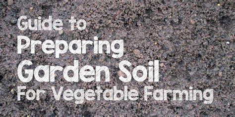 How to Prepare Garden Soil for Organic Vegetable Garden