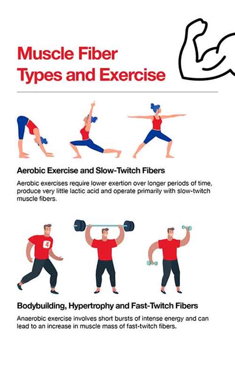 Isometric exercises for fast twitch muscles - volpassion