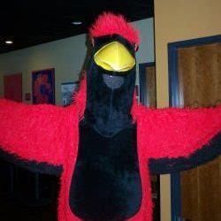 Cardinal | Mascot Hall of Fame