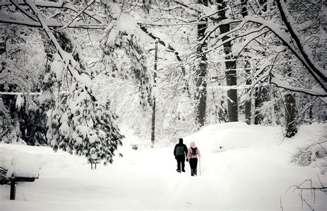 The 5 Best Winter Hikes and Walks Around Washington DC - Washingtonian