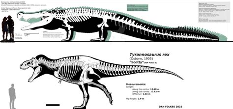 The two most formidable archosaurs of all time: Tyrannosaurus rex and ...