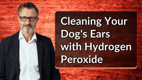 Cleaning Your Dog's Ears with Hydrogen Peroxide - YouTube