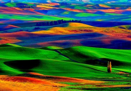 Colorful field - Fields & Nature Background Wallpapers on Desktop Nexus ...