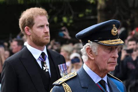 King Charles III wants to reconcile with Prince Harry for 'strategic ...