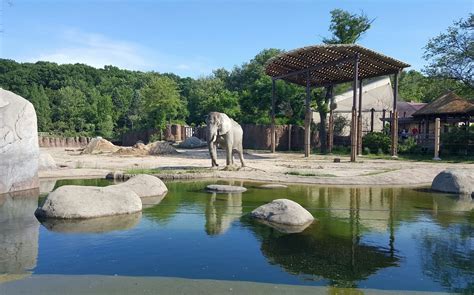 CLEVELAND METROPARKS ZOO: All You Need to Know BEFORE You Go