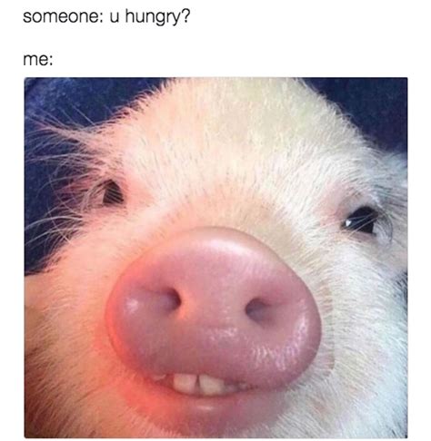 32 Memes You'll Laugh At If You're In A Relationship With Food | LMAF ...