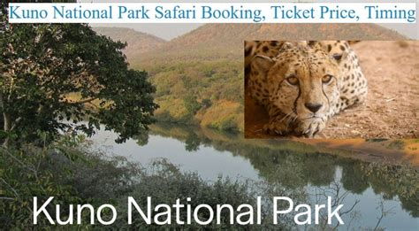 Kuno National Park Safari Booking, Ticket Price, Timing & Cheetahs First Look - ReaderMaster