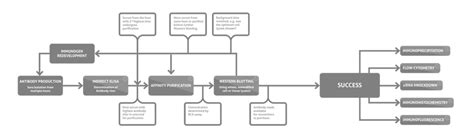 Proteintech – LubioScience GmbH