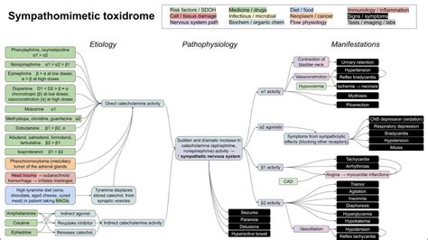 Sympathomimetic toxidrome (mechanism of disease) - YouTube